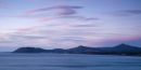 Dawn Bray Vista